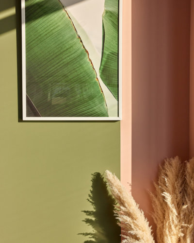 gallery_image